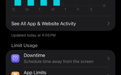 I Had to Check Me: From Digital Overload to Clarity