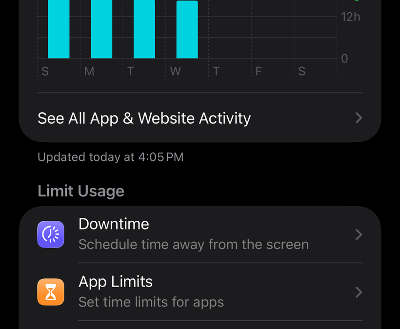 I Had to Check Me: From Digital Overload to Clarity